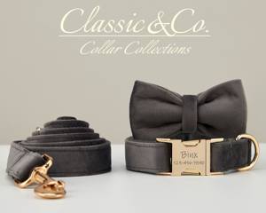 ชุดปลอกคอและสายจูงสุนัขสีเทาเข้มพร้อมป้ายชื่อส่วนตัวสำหรับลูกสุนัข - Product Image 2