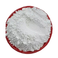 Hydroxyde de calcium ultrafin de pureté 98 % en gros, chaux calcaire 1250 mesh, poudre blanche