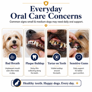 Masticables Dentales de Algas Marinas Naturales para Perros Pequeños y Medianos, 90 Unidades, Apoyo para la Placa y el Sarro, Masticables Blandos Bioactivos para la Salud Bucal del Perro - Product Image 5