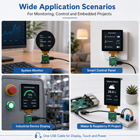 Módulo de Pantalla IPS USB 2.0 de 2.1 a 5.0 Pulgadas, Mini Monitor Secundario para Raspberry Pi y PC, Plug and Play