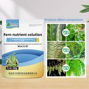 Nuovo Compost Nutriente per Piante Farmer Fern, Una Confezione da 15kg per Miscelazione con Acqua, Spray <span class=keywords><strong>Liquido</strong></span> per Irrigazione, Crescita delle Piantine e Miglioramento del Suolo - Product Image 4