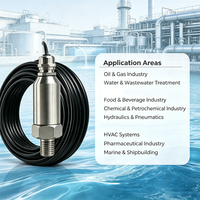 Transmetteur de pression en acier inoxydable 316L IP65 avec technologie piézorésistive pour applications industrielles exigeantes