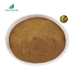 Grosir 1.3% 5% Withanolides Organik Alami Withania Somnifera Ashwagandha Bubuk Ekstrak Akar - Product Image 1