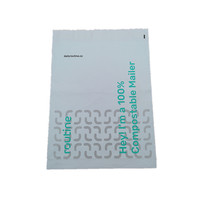 Sacs d'expédition en polyéthylène compostables personnalisés avec logo, pour vêtements, emballage postal, enveloppes d'expédition