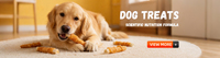 Laisse de traction pour best-seller, sangle bandoulière, chaîne pour chien, corde en nylon, détails réfléchissants, fabriqué au Zhejiang