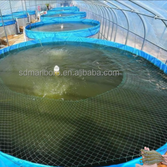 Fish Ras Dimensions SDM Tilapia Catfish Shrimp Ras Aquaculture Systems Tarpaulin Fish Pond ...