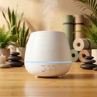 Diffuseur d'huiles essentielles ultrasonique portable à brume froide alimenté par USB, éclairage LED, design écologique, 101-200 ml