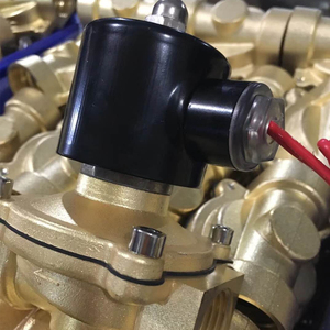 Válvula Magnética de Latón Normalmente Abierta de 12V/24V para Control de Agua y Gas de Dos Vías - Product Image 2