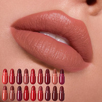 Ensemble de 18 rouges à lèvres en capsule, non tachants, mini rouges à lèvres mats multicolores