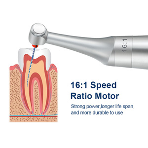 Moteur endodontique sans fil pour instrument rotatif endodontique, localisateur d'apex, équipement dentaire avec contre-angle 16:1 - Product Image 3