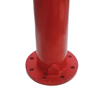 Bouche d'incendie en mousse au sol extérieure de qualité supérieure Type de pilier DN100/150 pour système d'extinction d'incendie