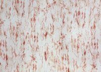 Tissu jersey 100 % polyester imprimé floral, largeur 43/44 pouces, extensible, léger, 90 GSM, style décontracté, couleurs vives, trame pour robes.