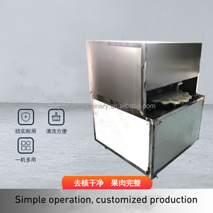 Dátiles de Palma Dátiles rojos de azufaifo Eliminación de semillas Semillas de fecha Máquina para deshuesar Núcleo de fruta Jujube Pitter - Product Image 6