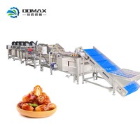 Ligne de machines à dénoyauter les dattes rouges à prix abordable, unité de traitement et système d'extraction des noyaux de dattes