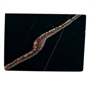 Dalle de granit noir Anaconda haut de gamme, provenance directe d'Inde, 2 cm d'épaisseur, surface durable pour cuisines intérieures et revêtements de sol hospitaliers - Product Image 1