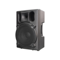 Haut-parleur PA actif compact en plastique pleine fréquence DASN DNR 15DQ 15 pouces 700W RMS DSP Audio pour extérieur, scène DJ et home cinéma
