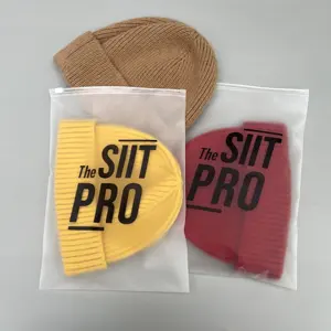 사용자 정의 서리로 덥은 PVC 생분해 성 플라스틱 지퍼 가방 T 셔츠 수영복 모자 PE 슬라이더 포장 지퍼 잠금 가방 로고