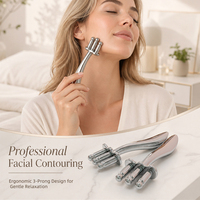 Nouvel Arrivage Appareil de Massage Facial Réutilisable pour Soins de la Peau, Dispositif de Beauté Magnétique à 3 Fourchettes pour Massage Gua Sha à Domicile et Spa