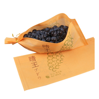 Sac d'emballage pour fruits en non-tissé recyclable de haute qualité avec logo personnalisé en gros pour raisins/melon Hami