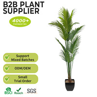 Palmier Artificiel Réaliste Écologique Résistant aux UV et à l'Eau, Qualité Premium, Plante d'Intérieur 180cm pour Hôtels et Complexes Hôteliers – Vente Directe Fabricant