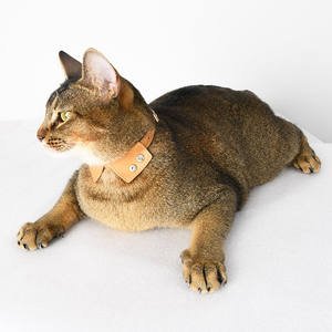 <span class=keywords><strong>Collar</strong></span> para mascotas transpirable de piel auténtica de vaca al por mayor, pajarita fina y suave, <span class=keywords><strong>Collar</strong></span> para perros pequeños y gatos, diseño de camisa extendida - Product Image 1