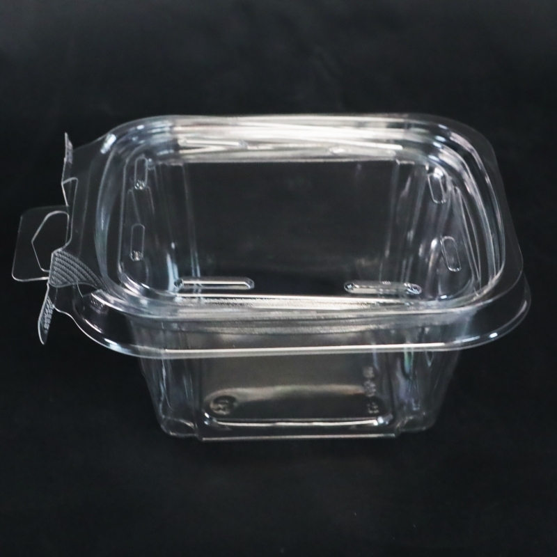 Tamper Resistant Plastic Food Container with