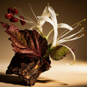 Divain 1029 For Her Intense Chypre Profumo da Donna per l'Autunno e i Viaggi - Product Image 2