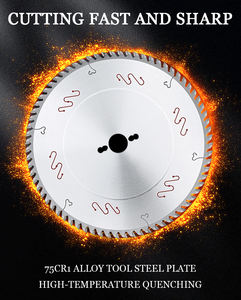 Lama per Sega Circolare a Tavola Scorrevole/Sega a Pannello TCT di Precisione Industriale Saldata al Laser OEM 250x3.2x2.2x30x80T per Taglio Legno Liscio e Durevole - Product Image 5