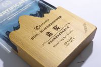 Haut de gamme personnalisé bois cristal verre Plaque trophée prix d'honneur cérémonie d'autorisation commerciale reconnaissance soutien conception
