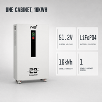 Sistem Penyimpanan Energi All in One LiFePO4 16kWh 51.2V IP65 Kabinet EMS Penyeimbang Aktif Layar LCD Penggunaan Rumah Off Grid