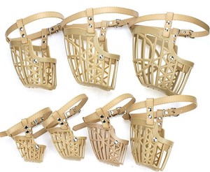 Chó Săn thỏ mõm thoáng khí - Product Image 3