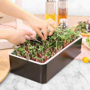 Microgreens grow kit hydroponic tray garden plant germination hydroponic garden kit pot hydroponic mini cultivo hidropnico