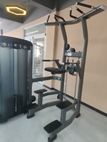 Équipement de gym professionnel haut de gamme pour usage commercial, vente en gros directe usine, machine d'assistance pour tractions et dips