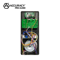 Module d'amplificateur de puissance de plaque BT de classe AB bi-amplifié à 4 cœurs pour haut-parleur de 15 pouces Accuracy Pro Audio AFH-150W 450W