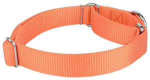 Fabricante personalizado Premium suave ajustable <span class=keywords><strong>Martingale</strong></span> perro <span class=keywords><strong>Collar</strong></span> cadena logotipo personalizado perro <span class=keywords><strong>Collar</strong></span> <span class=keywords><strong>Martingale</strong></span> - Product Image 4