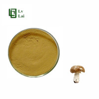 Poudre de champignon en fibres alimentaires de champignons de haute qualité