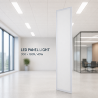 Panneau lumineux LED à éclairage latéral 300x1200 40W pour les projets de plafonds de bureaux
