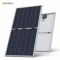Panel Surya 730W 750W 800W Tipe-N Bifasial Half-cut Kaca Ganda TW Solar Efisiensi Tinggi Garansi 30 Tahun Modul PV