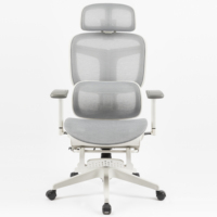 Chaise de bureau ergonomique de direction en maille intégrale, moderne et luxueuse, pour PDG et cadres