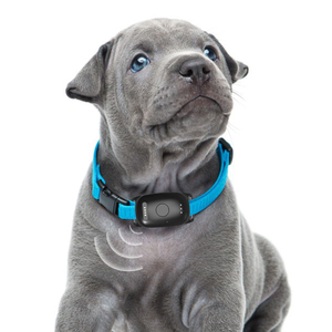 Aplicación de monitoreo de actividad de mascotas, localizador GPS de alta precisión, rastreador 4G GSM, <span class=keywords><strong>Collar</strong></span> de caza para perros con alarma de cercado Geo - Product Image 5