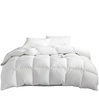 Big-OEM-Order-Service Gänse daunen geste ppte Bettdecke White Feather Blanket Hotel Quilt