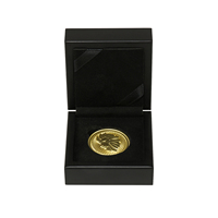 Collection commémorative d'économies personnalisées Boîtes à monnaie de présentation de stockage en velours pour cadeaux en bois