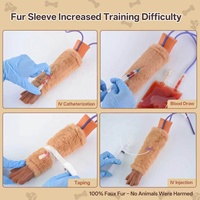 Kit d'entraînement vétérinaire pour la pratique de la ponction veineuse et de la cathétérisme IV canine sur la patte, avec fourrure, pour étudiants, vétérinaires et formation
