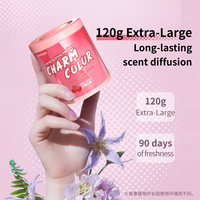Diffuseur d'air solide pour voiture en plastique de haute qualité, aromathérapie sans flamme, parfum longue durée, design mignon pour console centrale