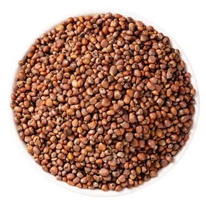 <span class=keywords><strong>Semillas</strong></span> <span class=keywords><strong>de</strong></span> Raphani Lai Fu Zi, <span class=keywords><strong>Plantas</strong></span> Herbales Chinas Secas Crudas, Hierbas Tradicionales <span class=keywords><strong>de</strong></span> Alta Calidad, Alimentos Saludables - Product Image 3