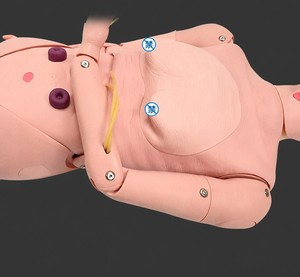 Maniquí Multifuncional para Enfermería Masculina de la Tercera Edad, Modelo de Práctica de Enfermería de PVC de Última Generación para Entrenamiento en Prácticas Escolares - Product Image 6