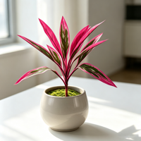 Vente en gros usine : Dracaena artificielle en plastique 58 cm, feuilles effet film rose et vert, tige en fer, pour décoration intérieure et événements (sans pot)
