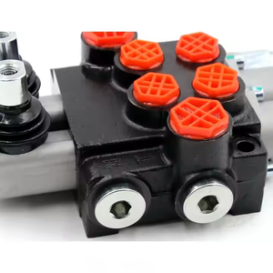 วาล์วไฮดรอลิกส่งตรงจากโรงงานด้วยตนเอง P40-G12-G38: คุณภาพยอดเยี่ยมและราคาที่แข่งขันได้ - Product Image 3