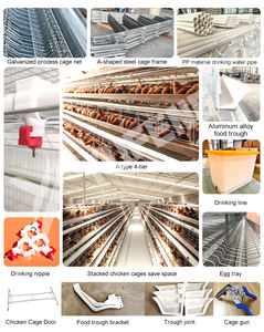 Yeni Çok Satan Otomatik 4 Katlı Tavuk Batarya Kafesleri Yumurtacı Tavuklar Paslanmaz Çelik 90-160 Kapasiteli Yumurta Üretim Ekipmanı ISO9001 - Product Image 6