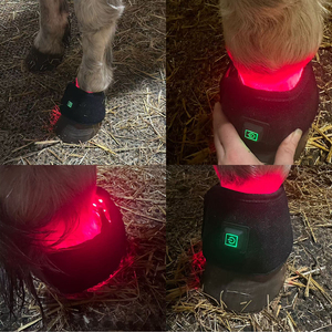 Cinturón de Terapia de Luz Roja LED <span class=keywords><strong>para</strong></span> Caballos con Baterí<span class=keywords><strong>a</strong></span> Integrada, Terapia de Luz Roja e Infrarroja de 660nm y 850nm <span class=keywords><strong>para</strong></span> Alivio del Dolor Equino - Product Image 3